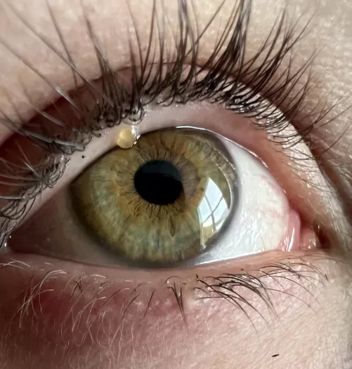 Forbidden pop on water line. 