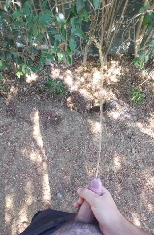 I love pissing outside in the morning🤤