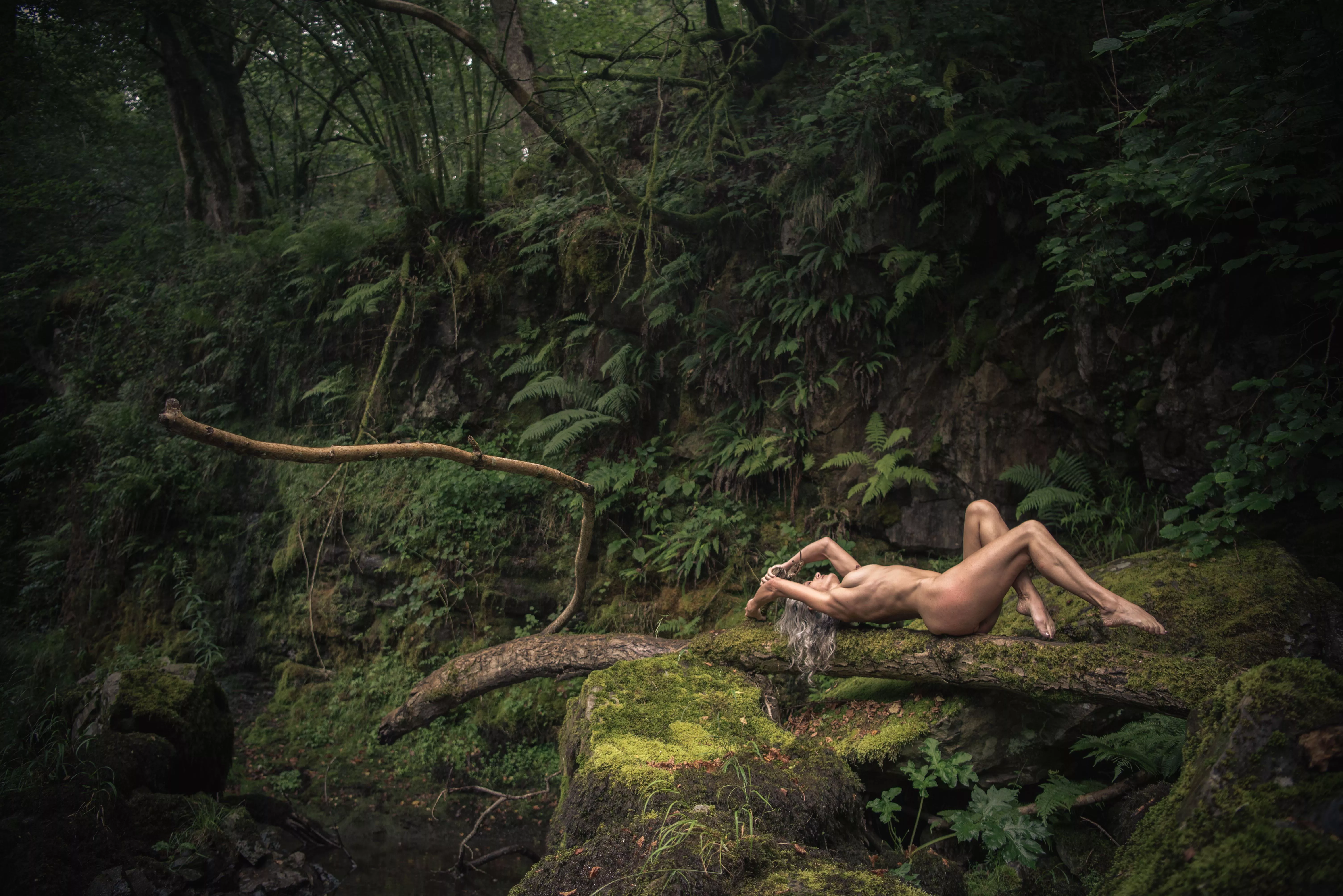 Making the most of deadfall in the Brecon Beacons 