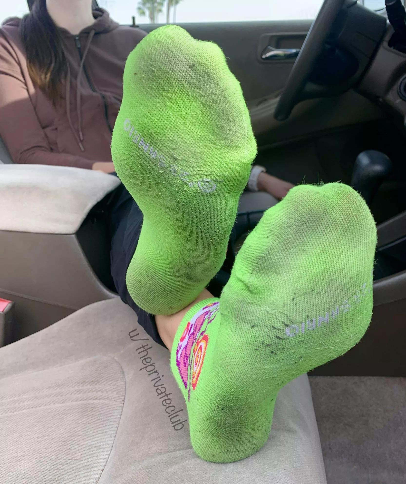 Sniff your life away!