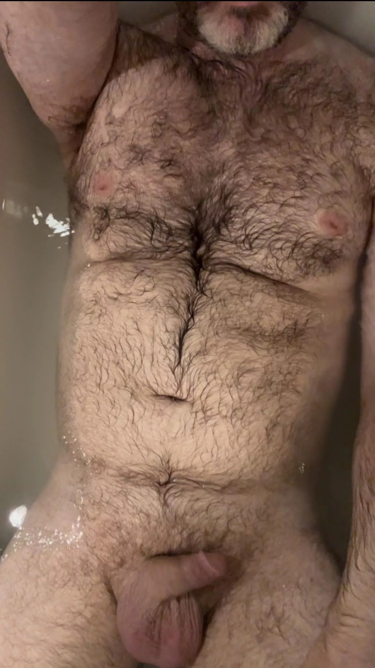 Wet fur (42)