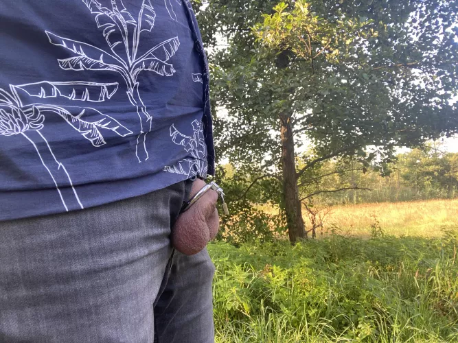 Another cockless day? (day 3 of 60ish)