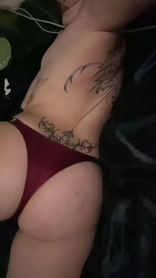 Come explore and take a lick