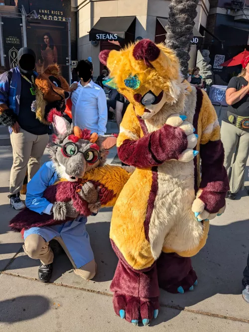 Guys you won't believe it, I found an even BIGGER TAIL!