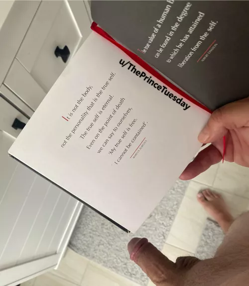 The essence of Zen - today’s inspiration! 📚😉