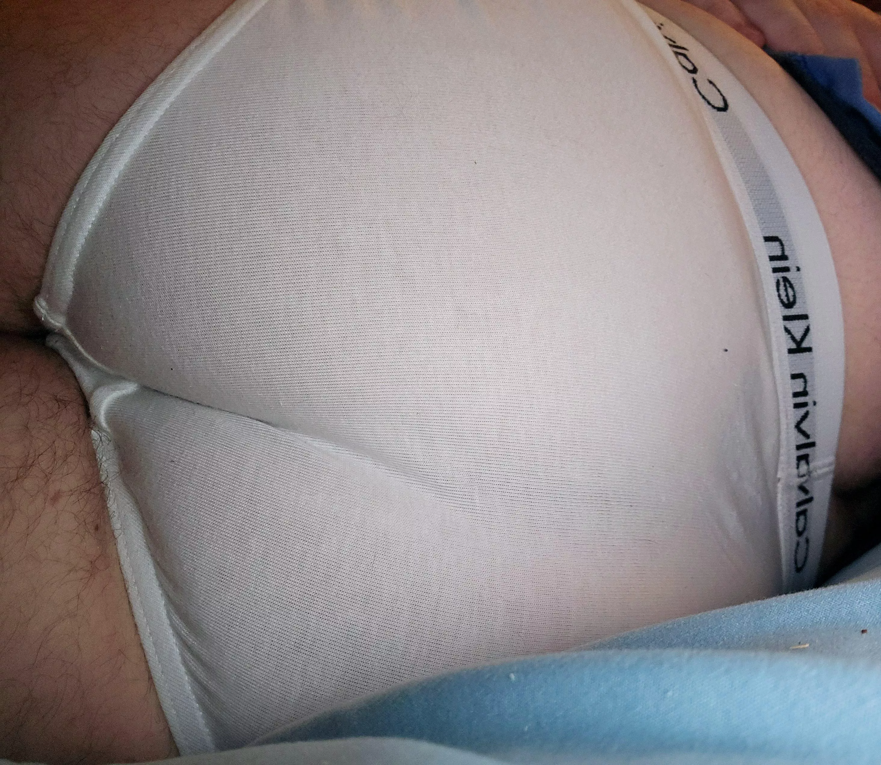 Bear butt in briefs