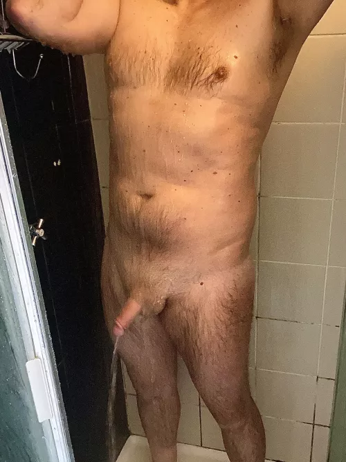 before the bathroom renovation 