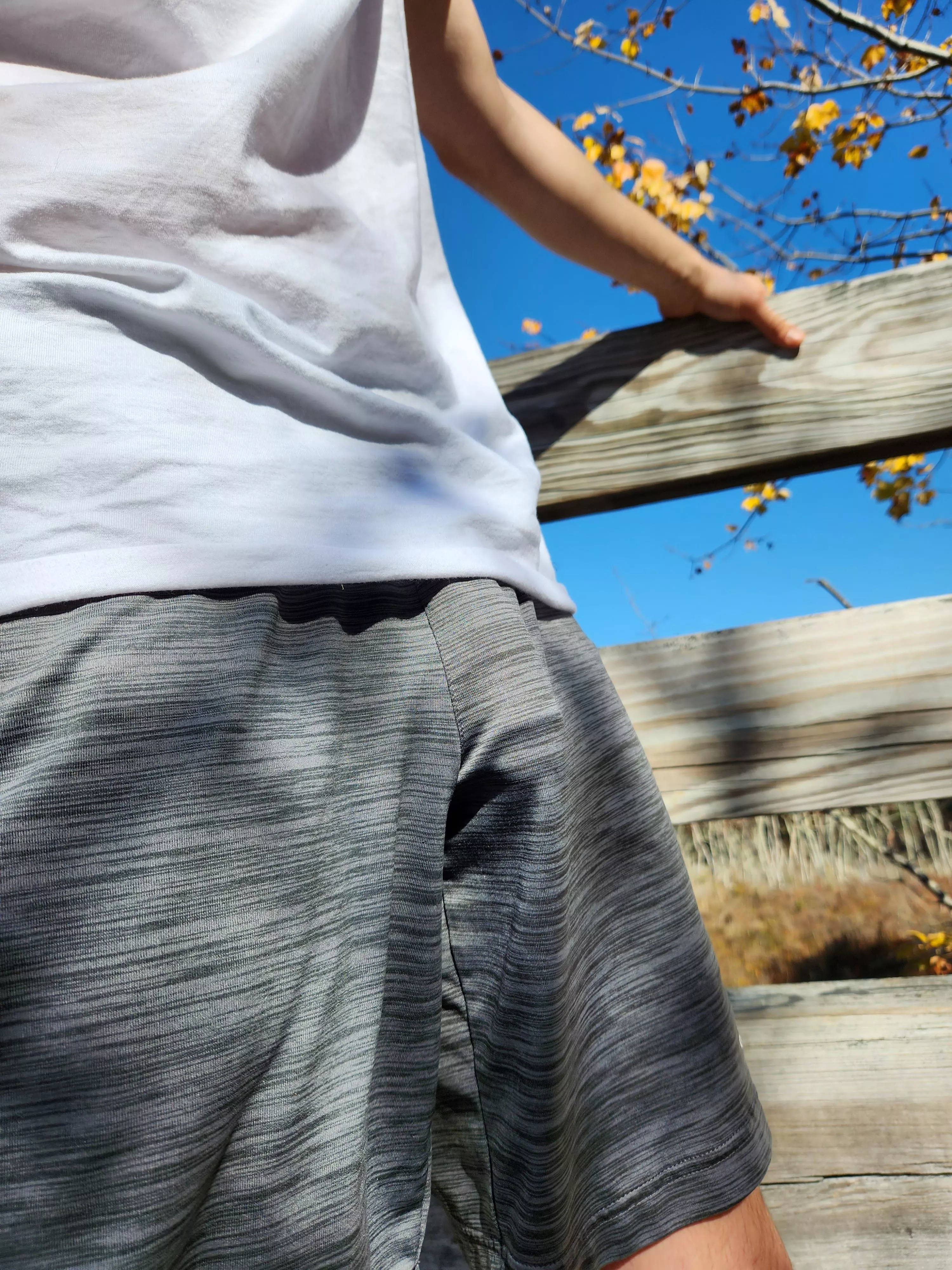 Best shorts i own to freeball in