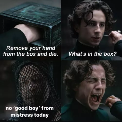 cant live without a good boy (in deep need for one right now)