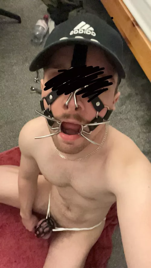 Do I class as a fag?