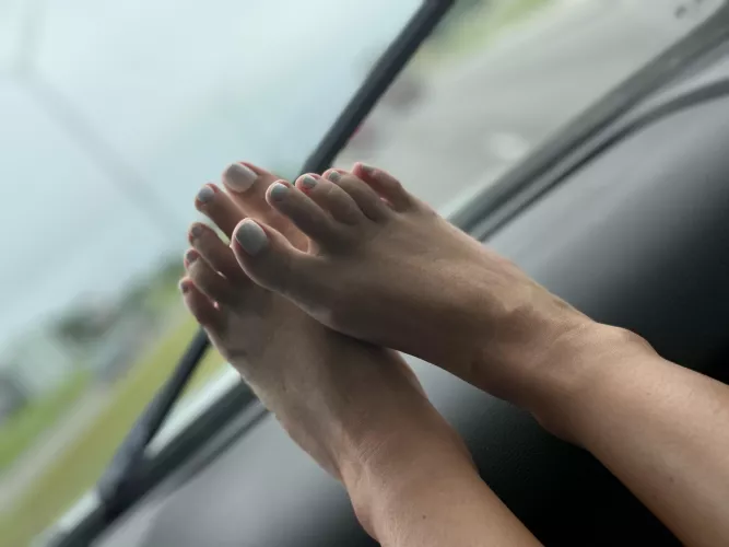 If these are on your dash I hope your hand is on my pussy while driving