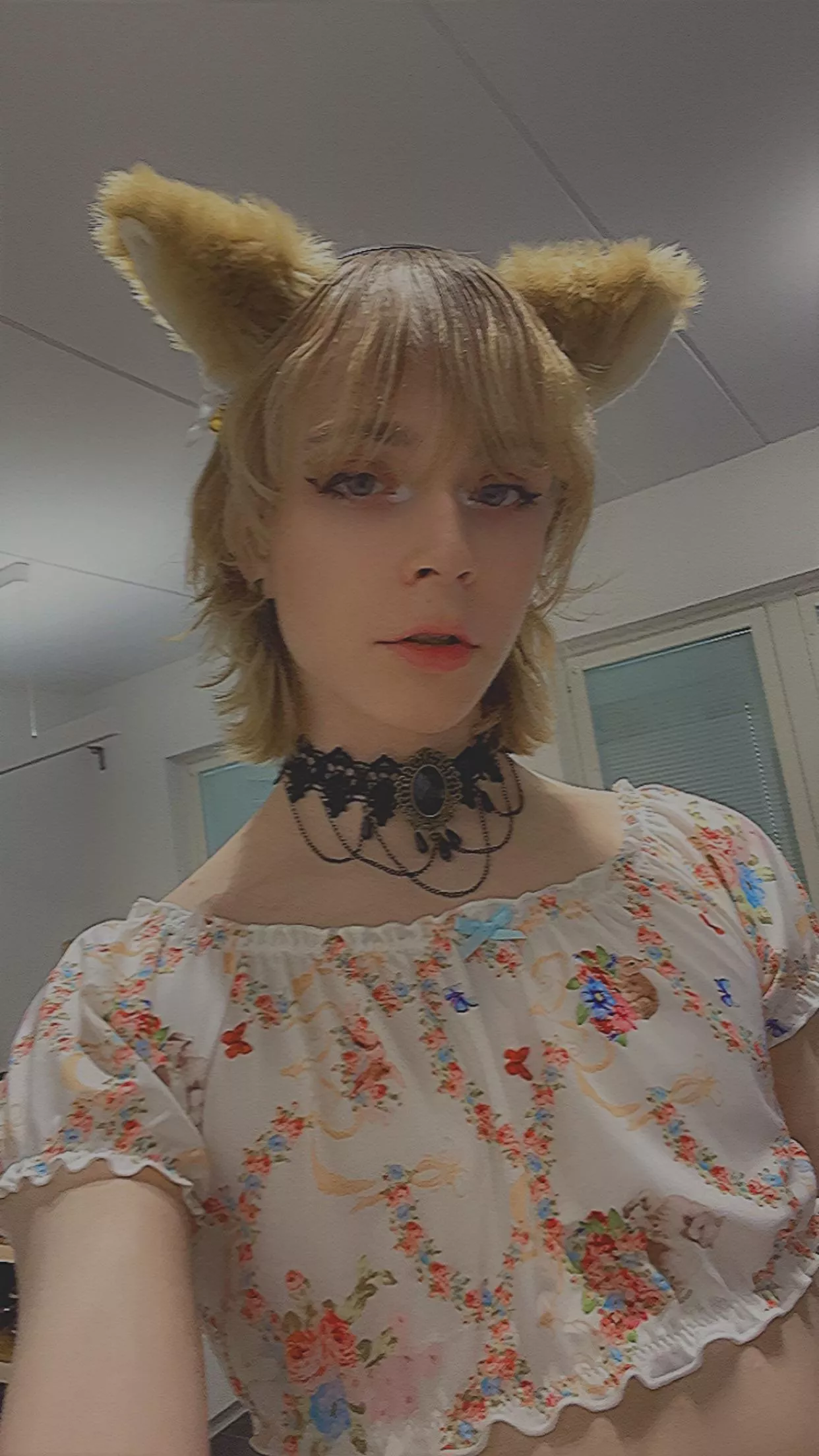 Just being a lil catboi :3