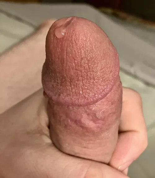 Quick snack before work (48)