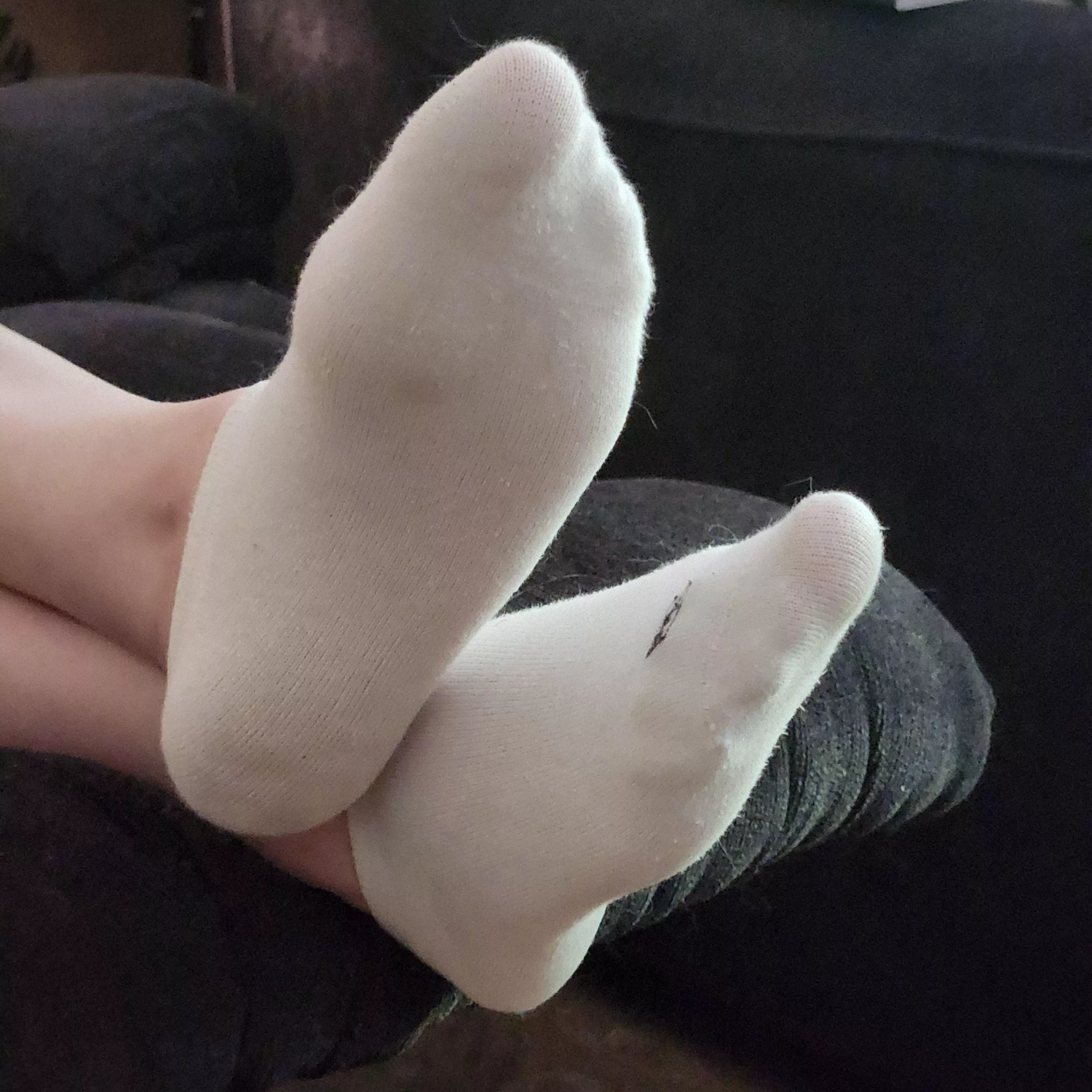 So soft and white, begging to be rubbed. 