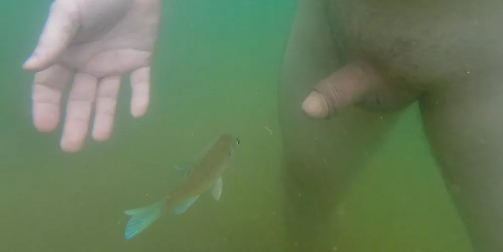 Something fishy here