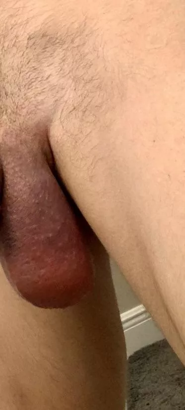 Balls swollen with giant cum load