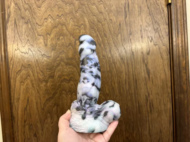 Cats are a woman's best friend (Ky'el)