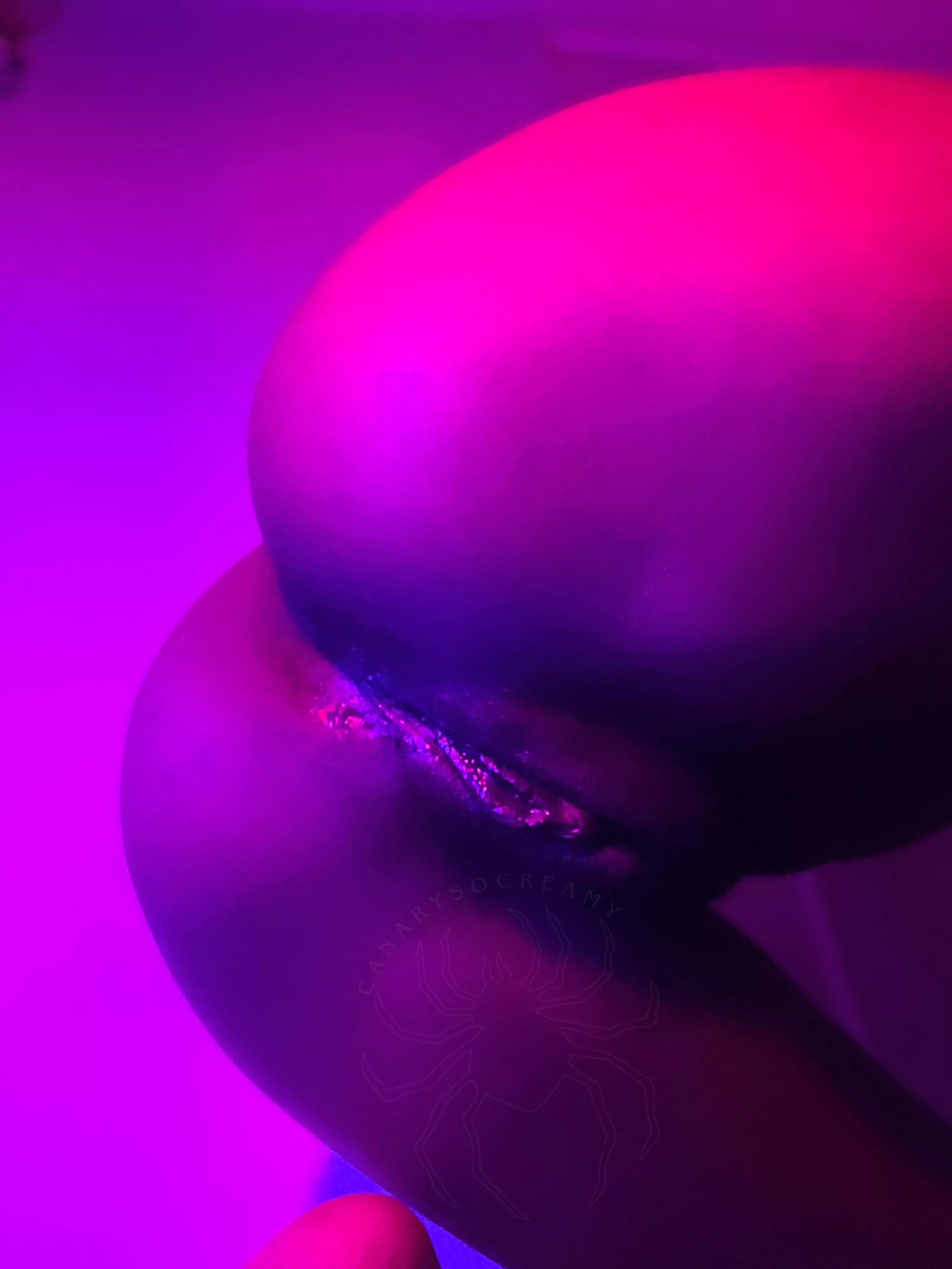 does my pussy make your dick hard?