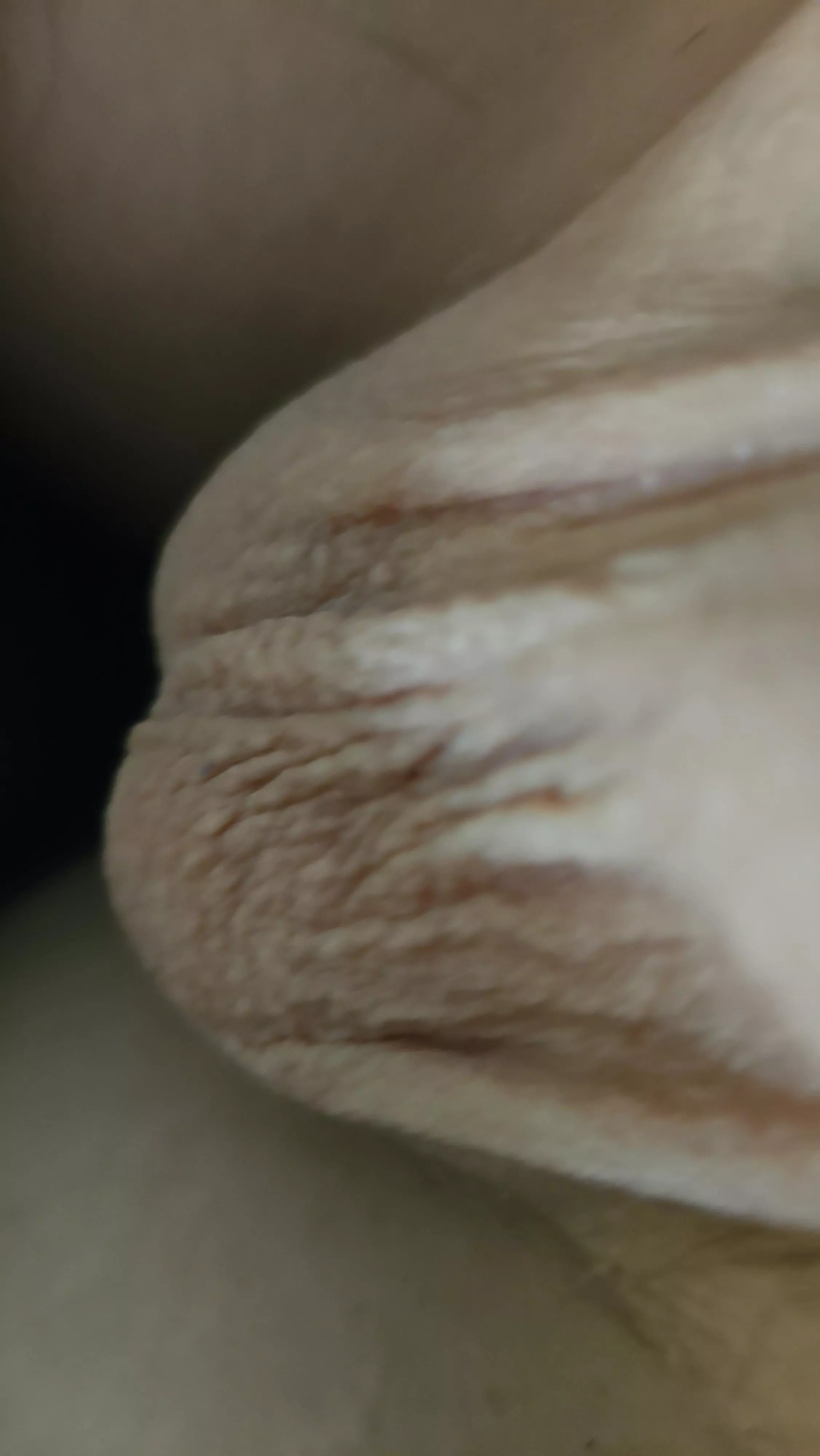 My wrinkly balls need sucking