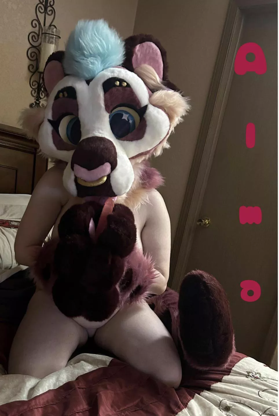 Alma says hello!~ give her a lil wave~