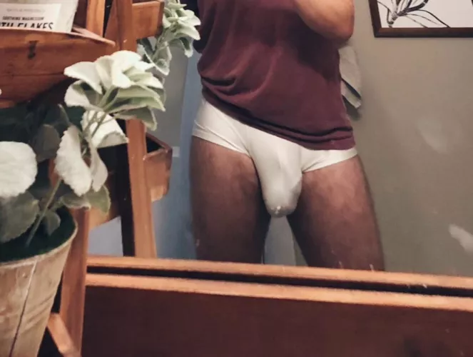 Full briefs 