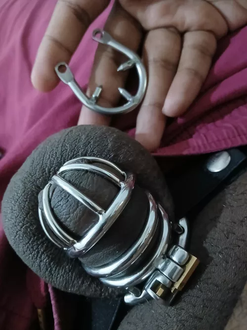 Got spikes and a strap for my cage