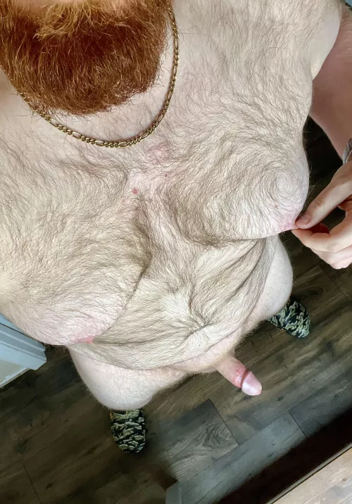 How do you feel about Cocks and Crocs? 😈