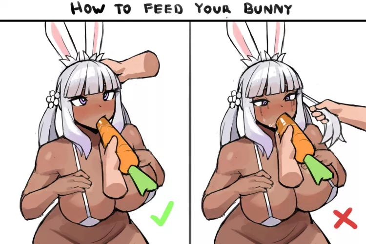 How to feed your bunny (Donburikazoku)