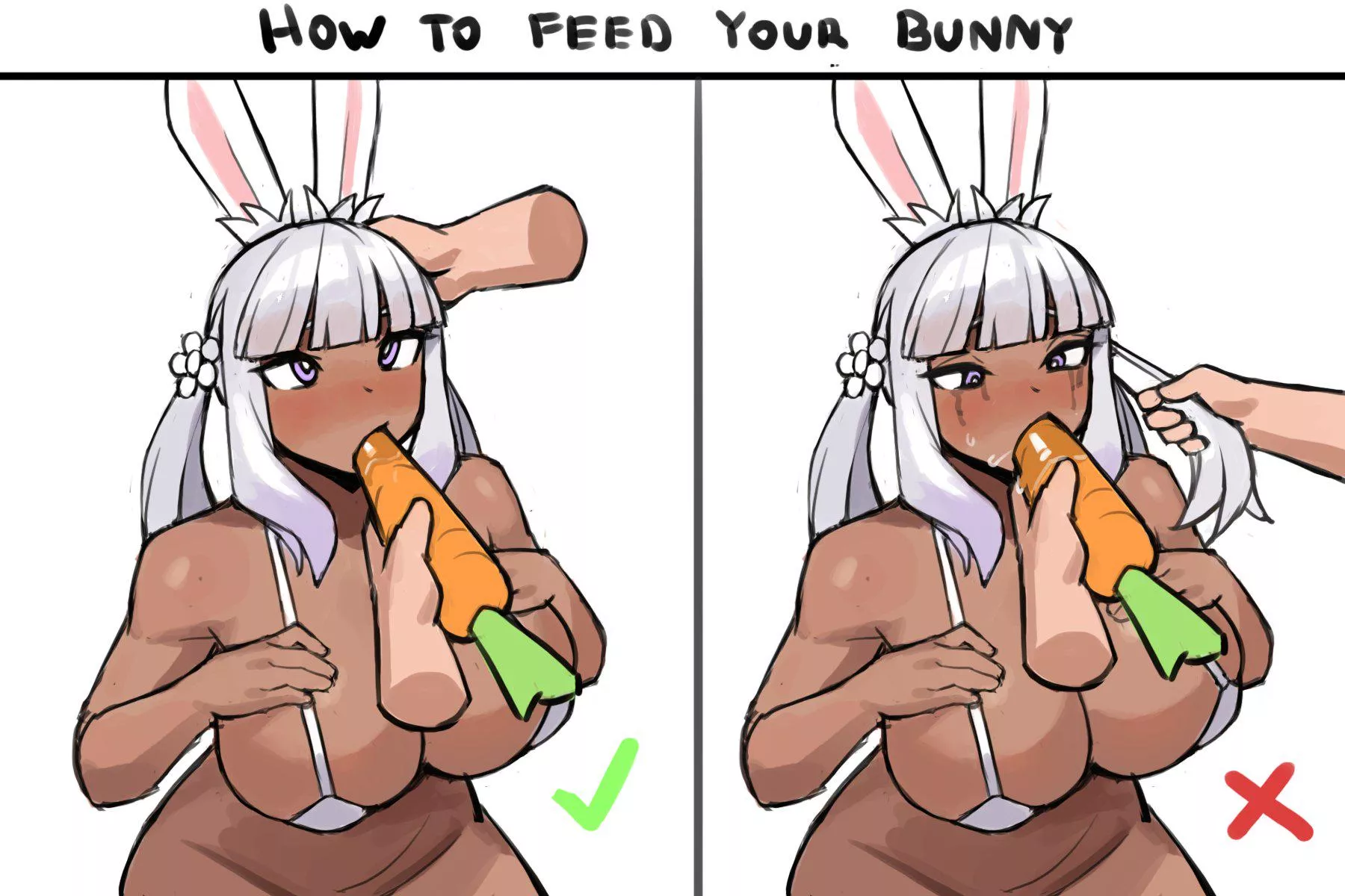 How to feed your bunny (Donburikazoku)
