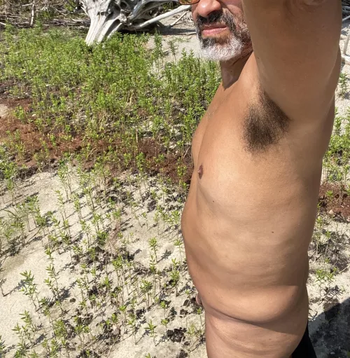 Morning Stroll by the lake shore 