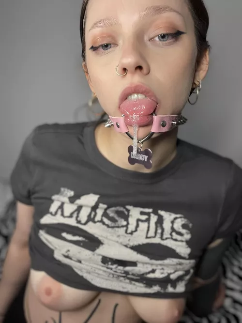 Sloppy the Misfits fun 