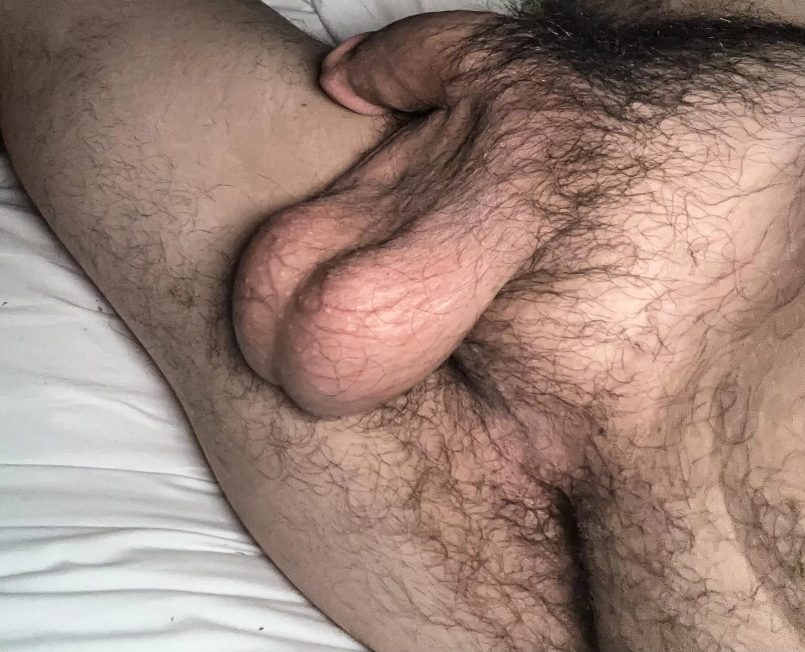 They bounce like crazy, come play with them 😉