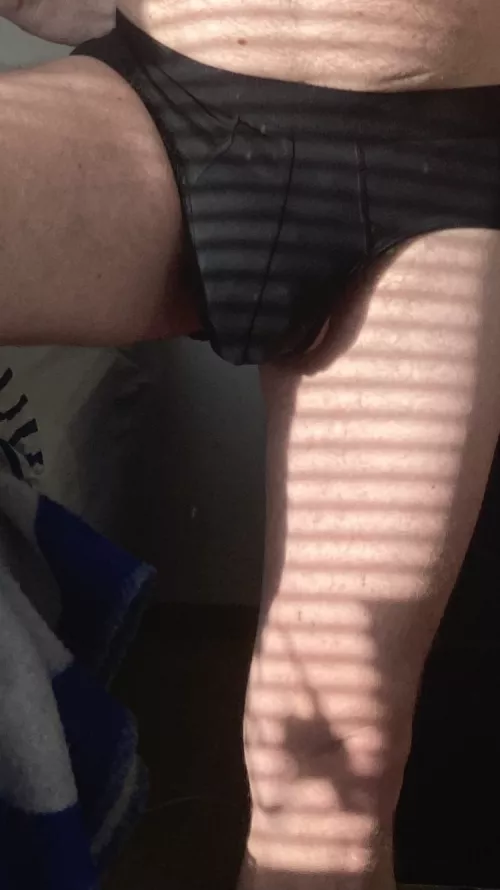 (38) daddy and Swedish bear