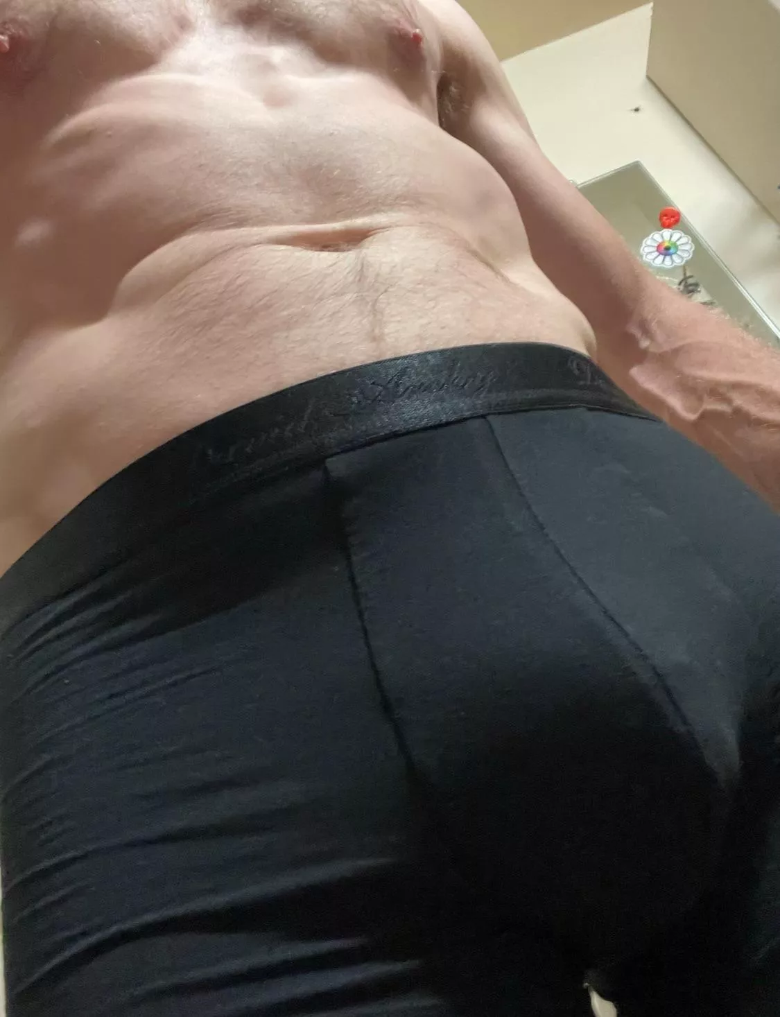 (40) Dad Bod 
