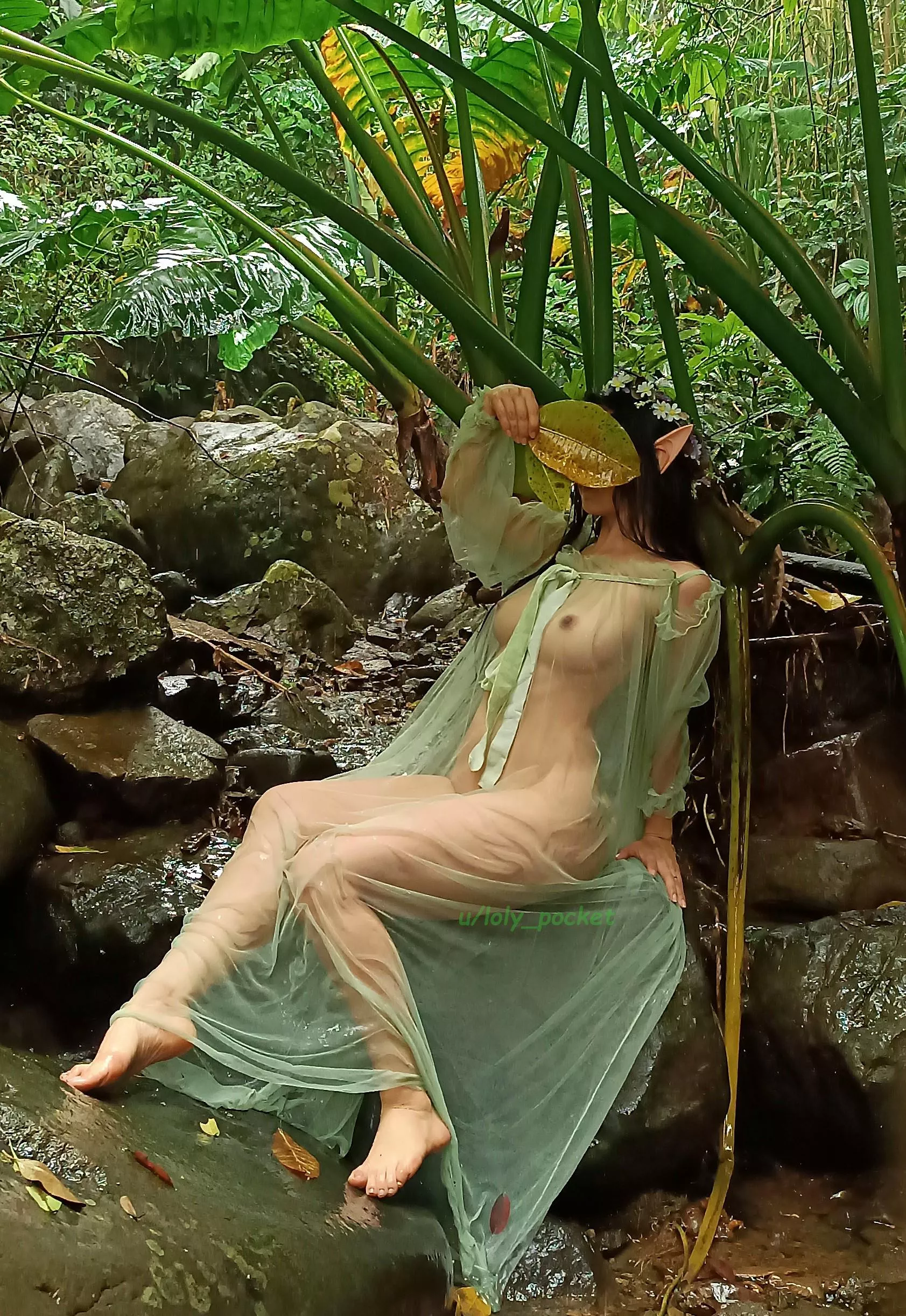 An Elf's Quest for the Water's Blessing [F]