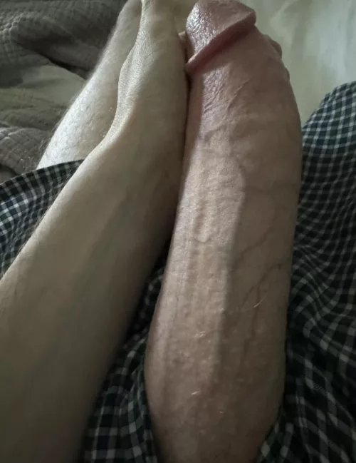 Describe it in one word