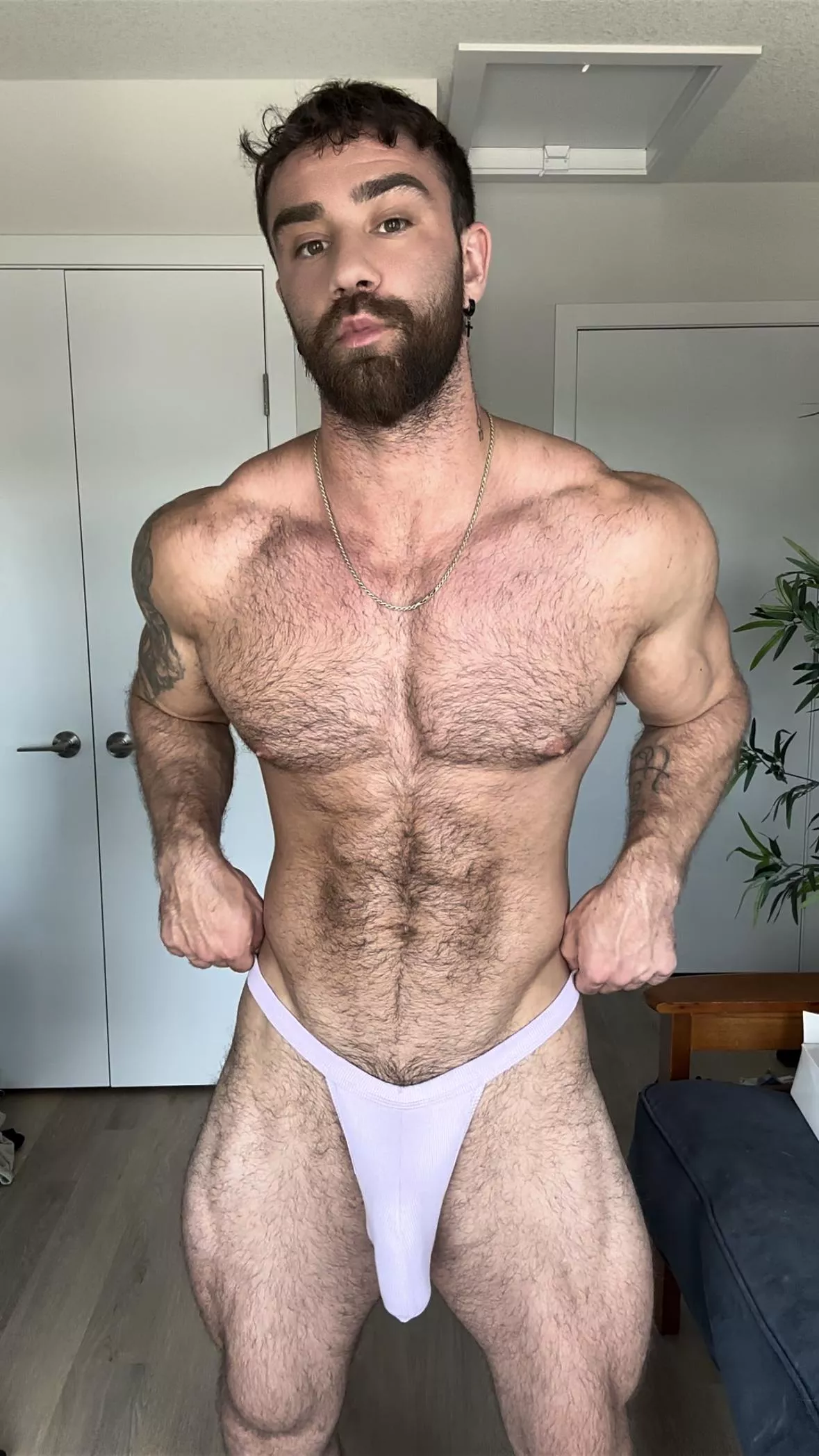 Hairy V 
