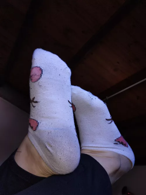 How dirty do you think my shoes are?