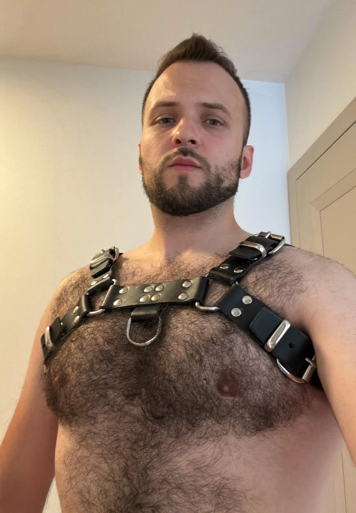 I’m a good boy, I promise