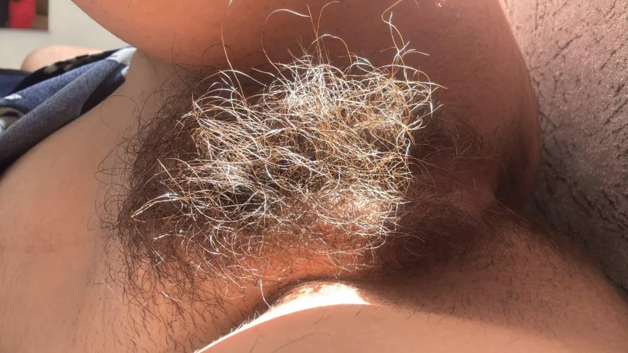 A little sunny bush never hurt nobody