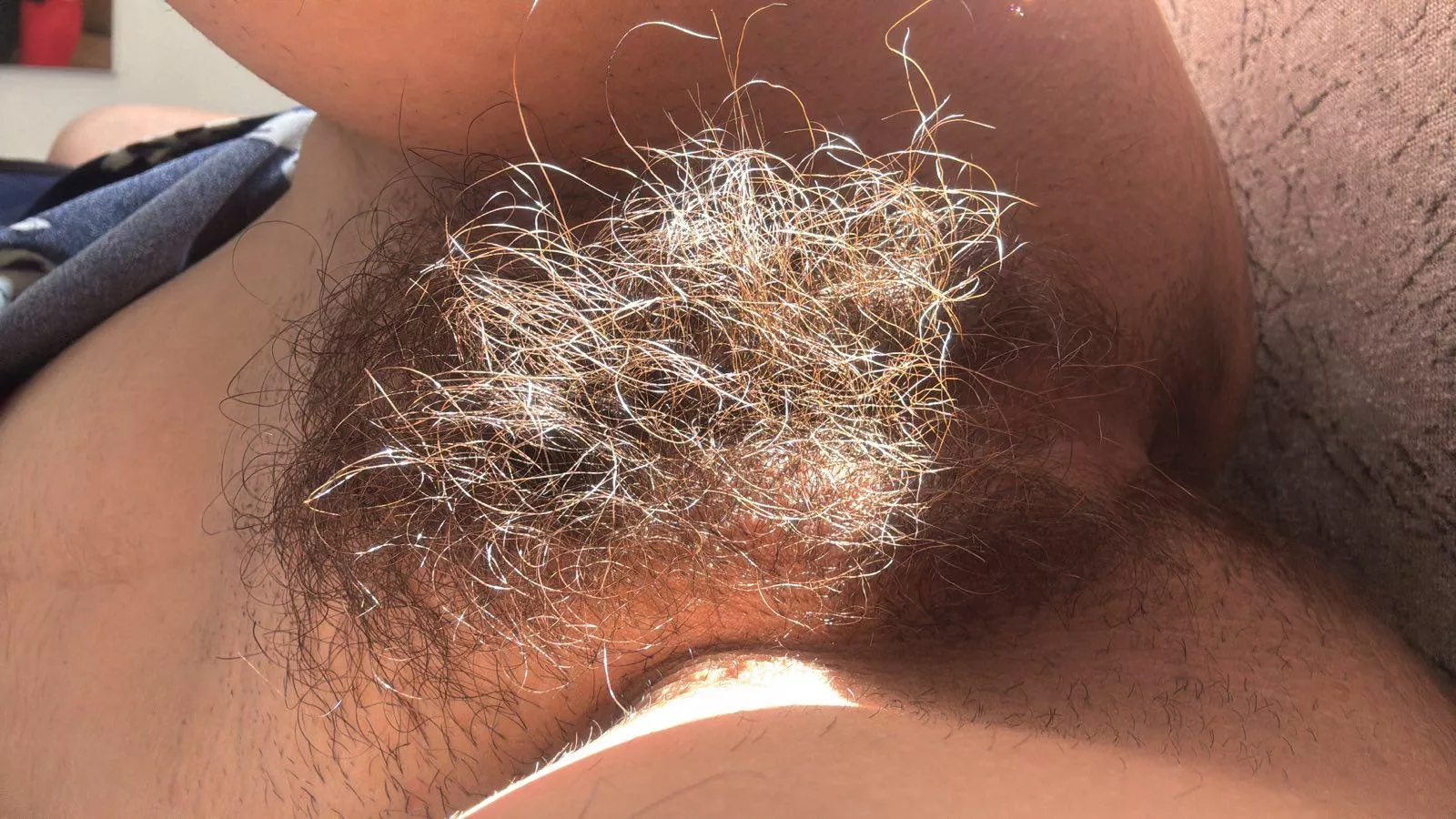 A little sunny bush never hurt nobody