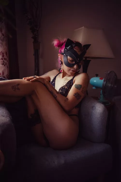 Cat masks count, right? 