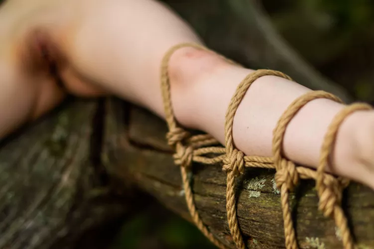 Climbing trees is one thing, but add some rope bondage and it becomes an entirely different adventure.