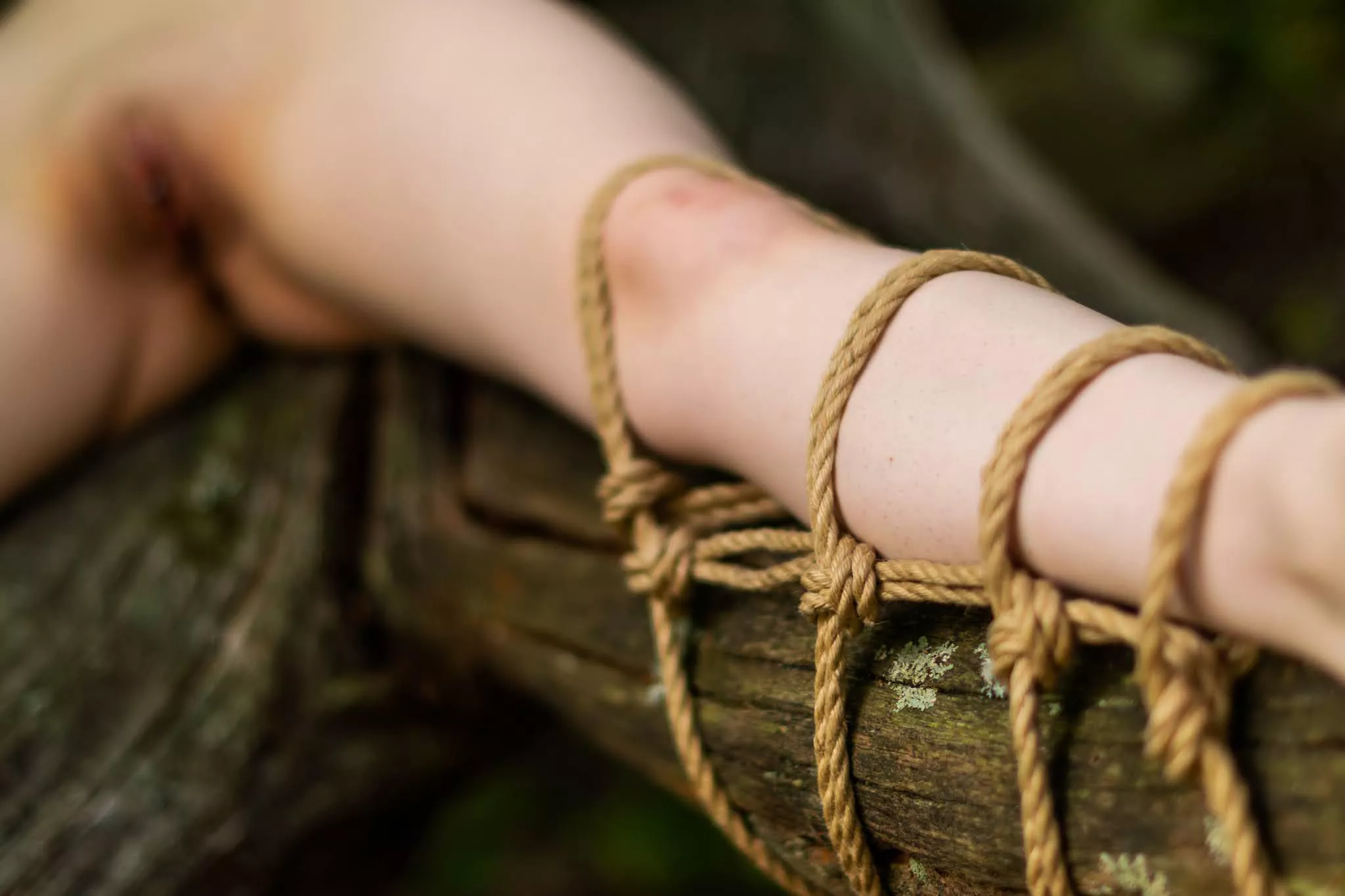 Climbing trees is one thing, but add some rope bondage and it becomes an entirely different adventure.