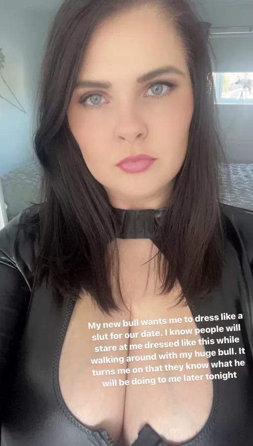 Date night with my new bull