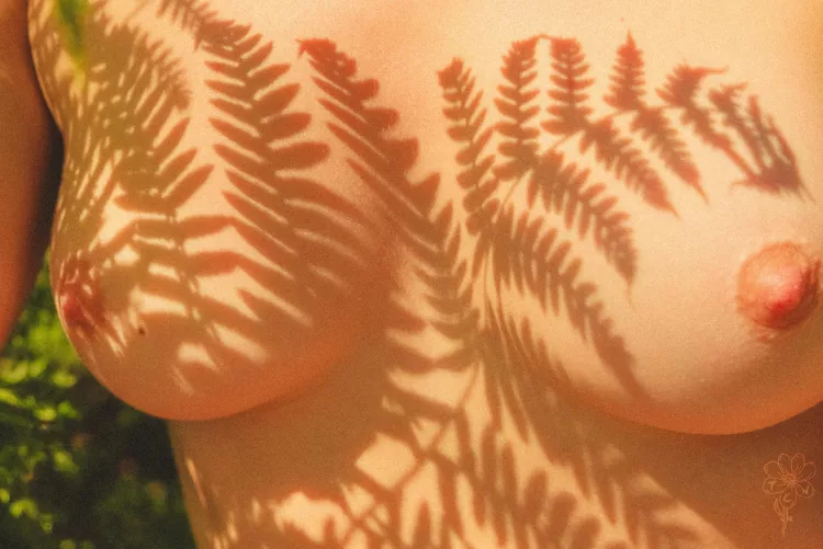 no caption, just fern boobies 