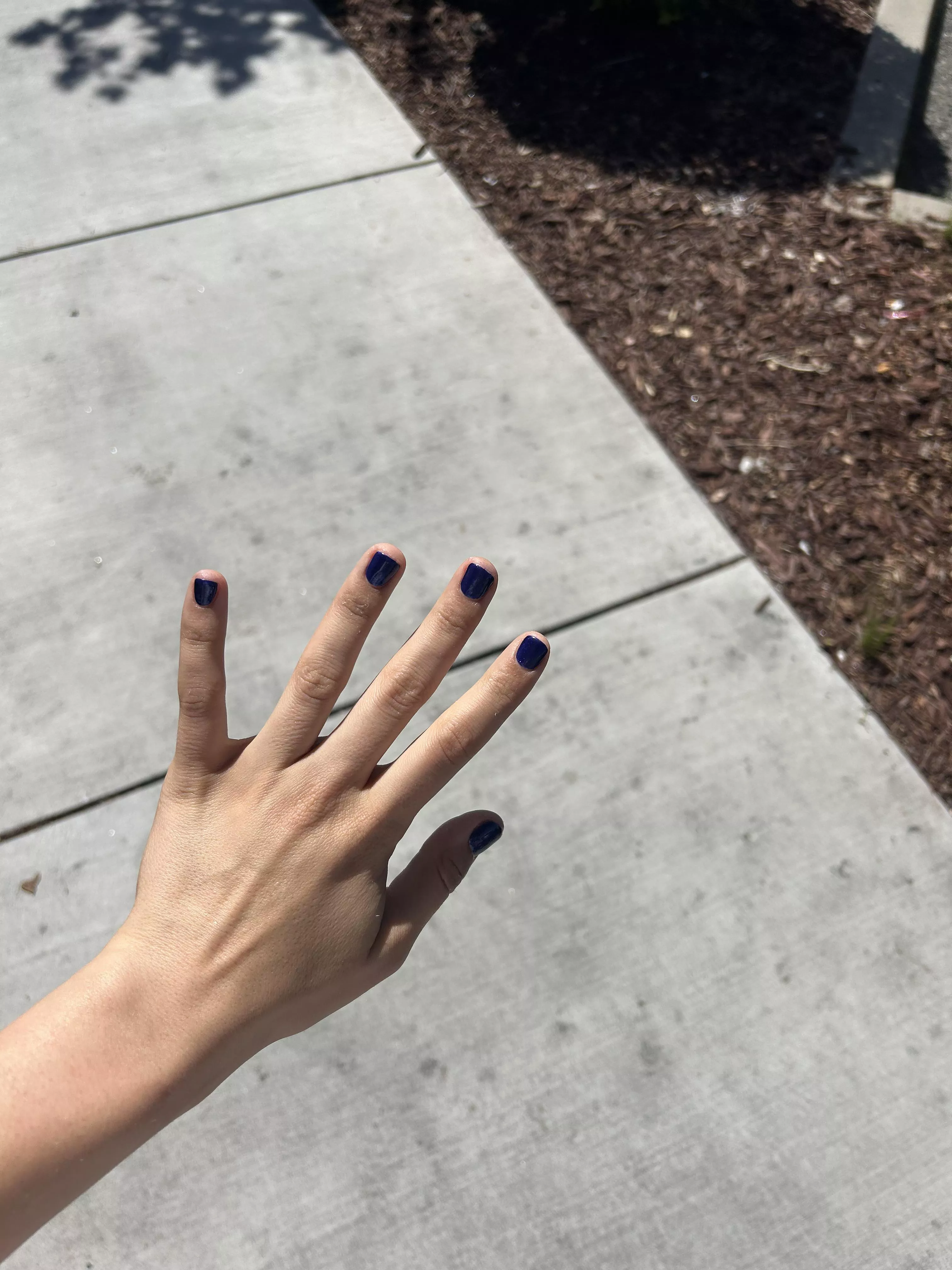 what do y'all think?