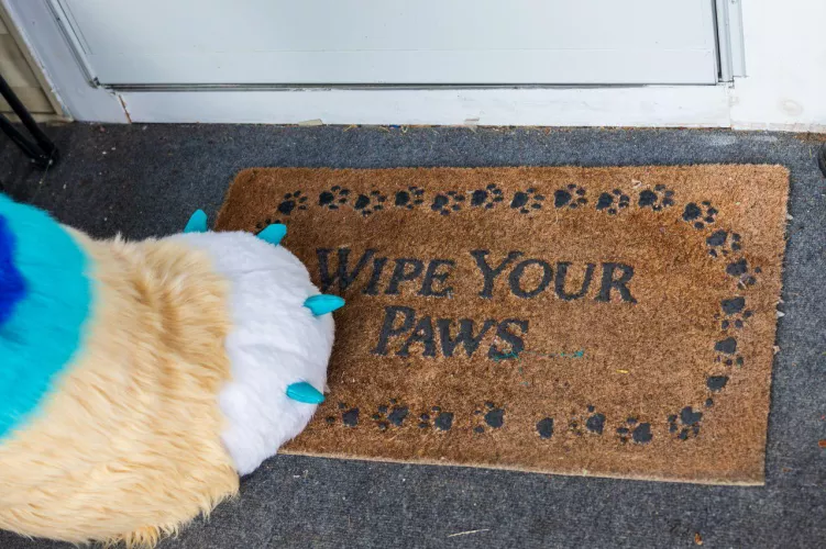 Wipe your paws 