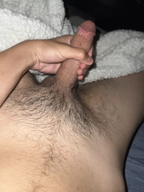 18m curious dl bros or bros with fat asses add me peter.m223
