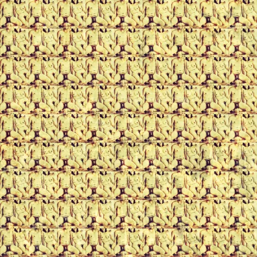 Erotic Wallpaper Design in Gold